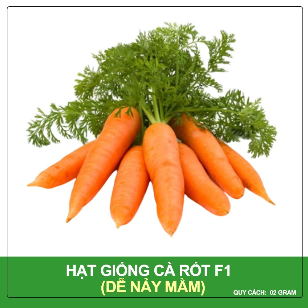 Hạt Giống Cà Rốt New Kuroda Phú Nông Gói 2 Gram