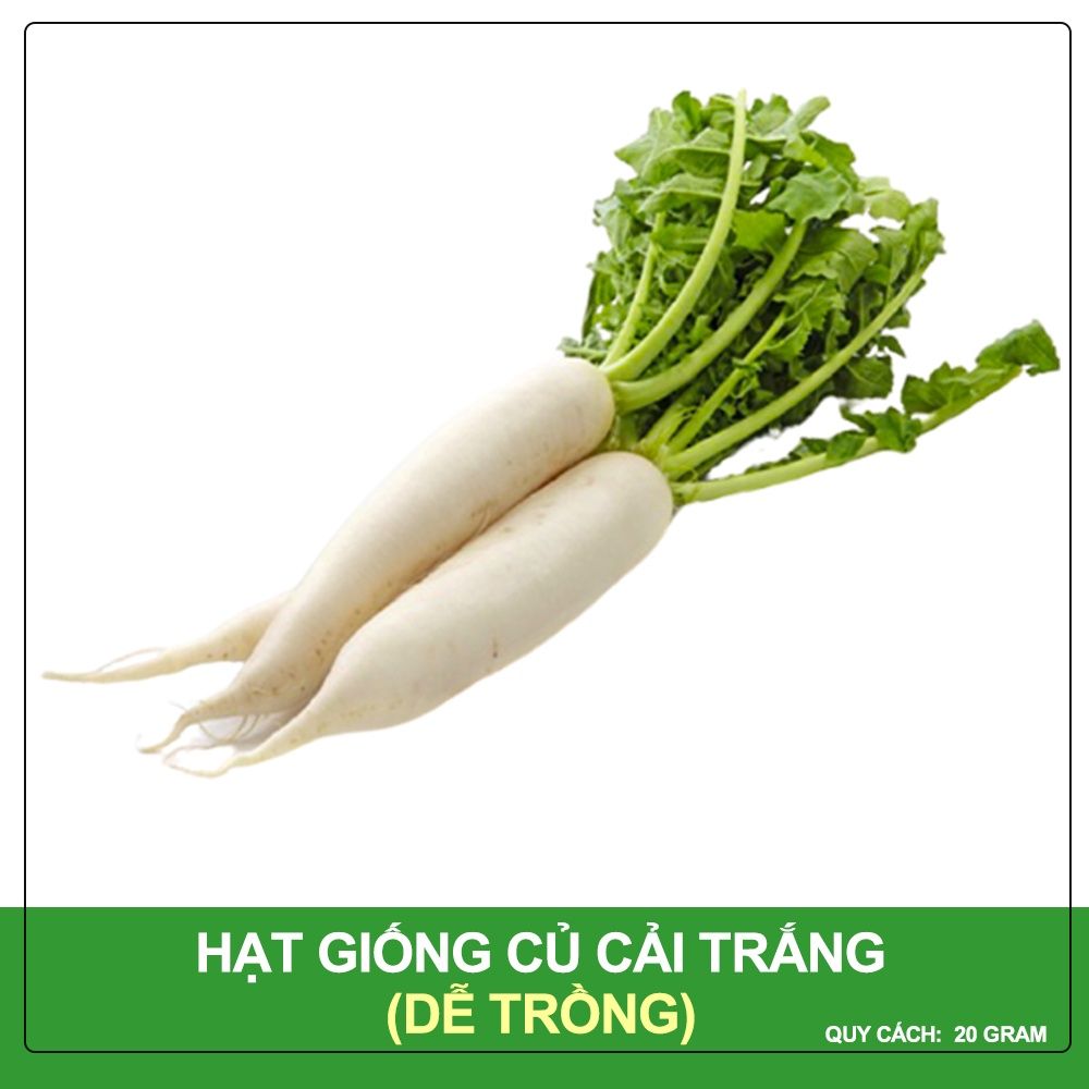Hạt Giống Củ Cải Trắng Phú Nông Gói 20 gram