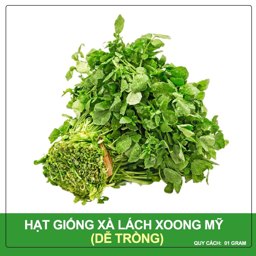 Hạt Giống Xà Lách Xoong Mỹ Phú Nông Gói 1 gram