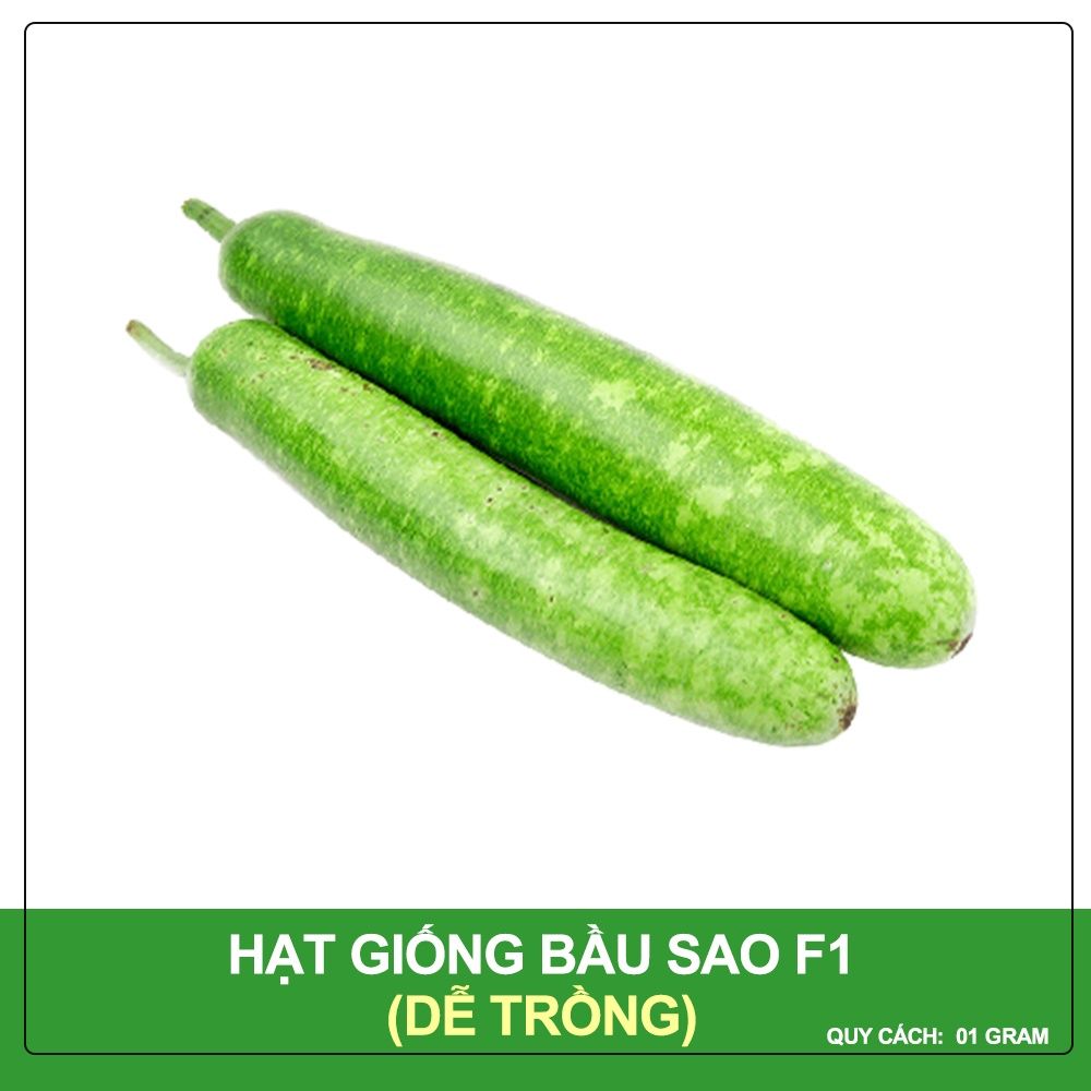 Hạt Giống Bầu Sao Phú Nông Gói 1 Gram