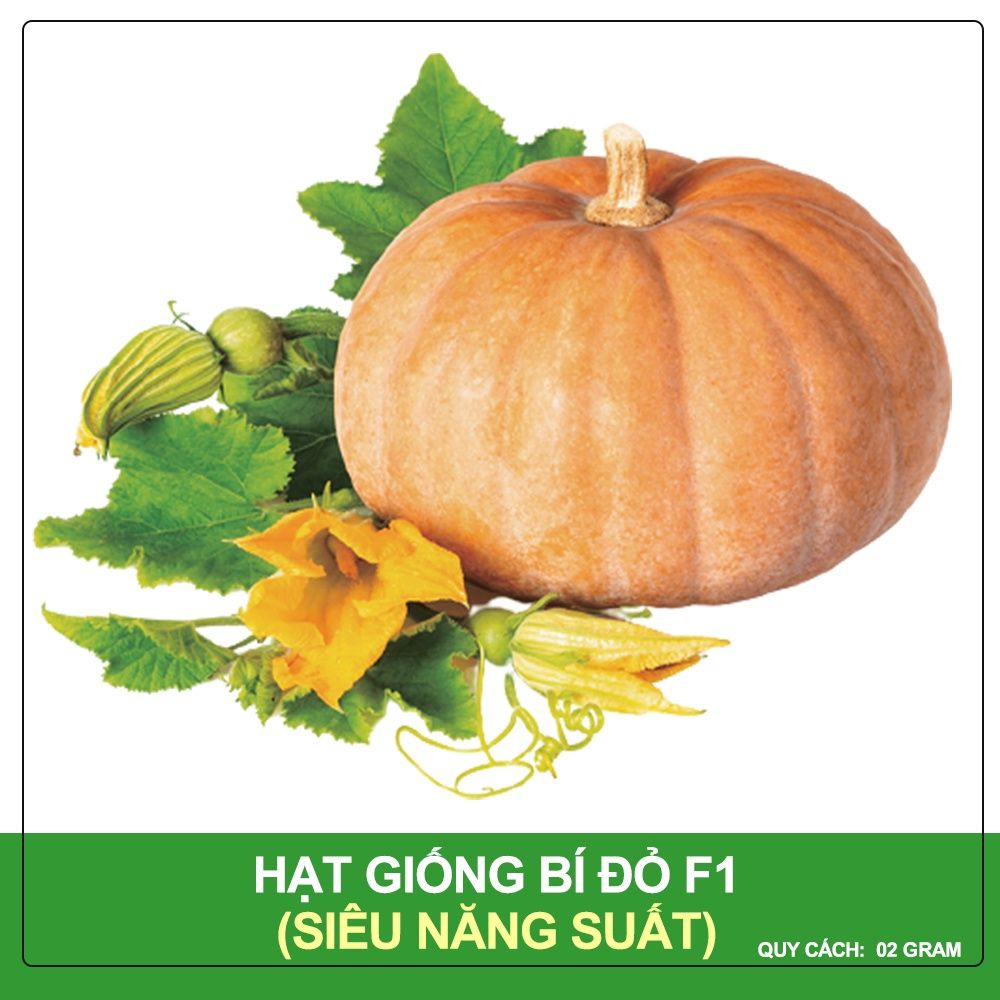Hạt Giống Bí Đỏ Phú Nông Gói 1 Gram