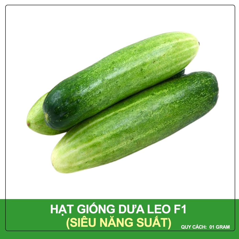 Hạt Giống Dưa Leo Siêu Năng Suất Phú Nông Gói 1 Gram