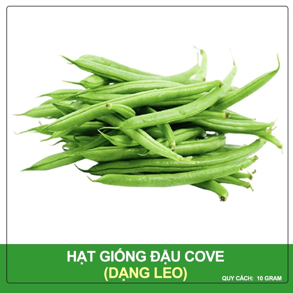 Hạt Giống Đậu Cove Trắng Dạng Leo Phú Nông Gói 10 gram