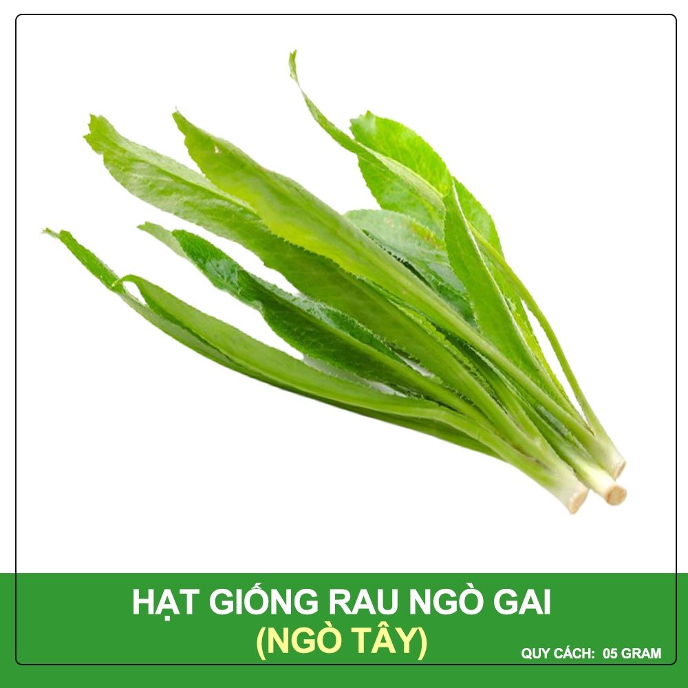 Hạt Giống Ngò Gai Phú Nông Gói 2 Gram