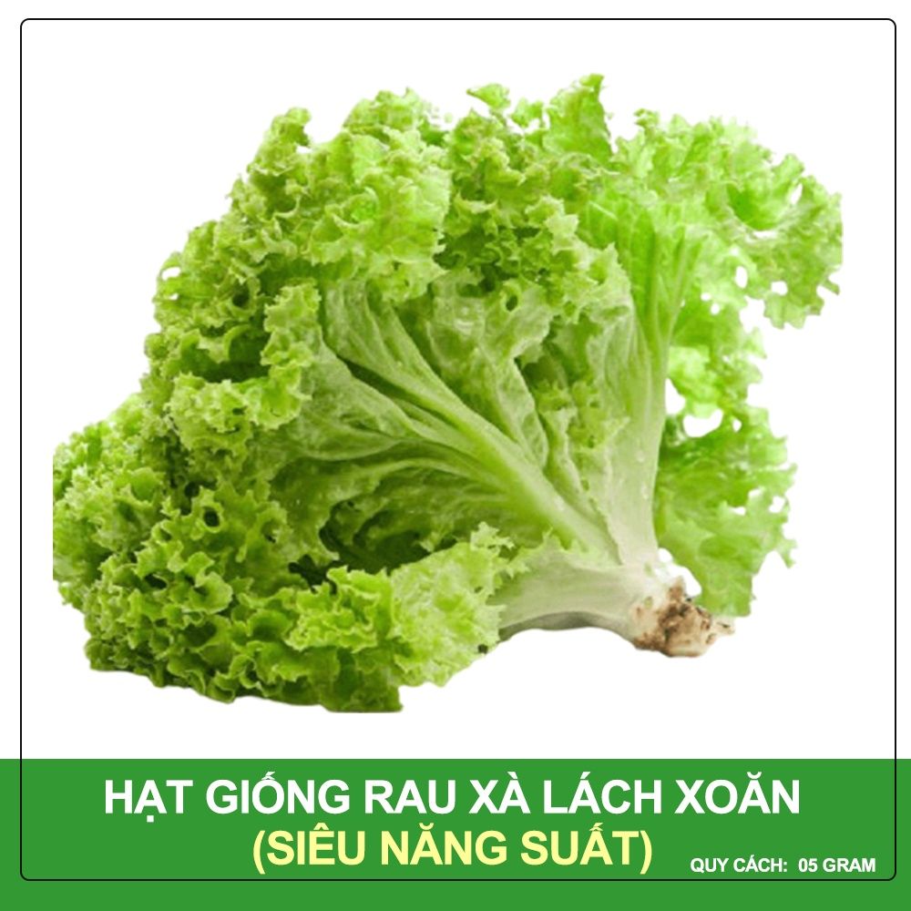 Hạt Giống Xà Lách Xoăn Sư Tử Hạt Đen Phú Nông Gói 5 Gram