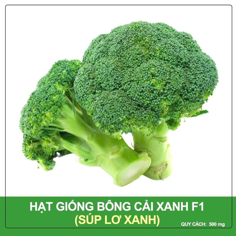 Hạt Giống Bông Cải Xanh Phú Nông Gói 200 mg