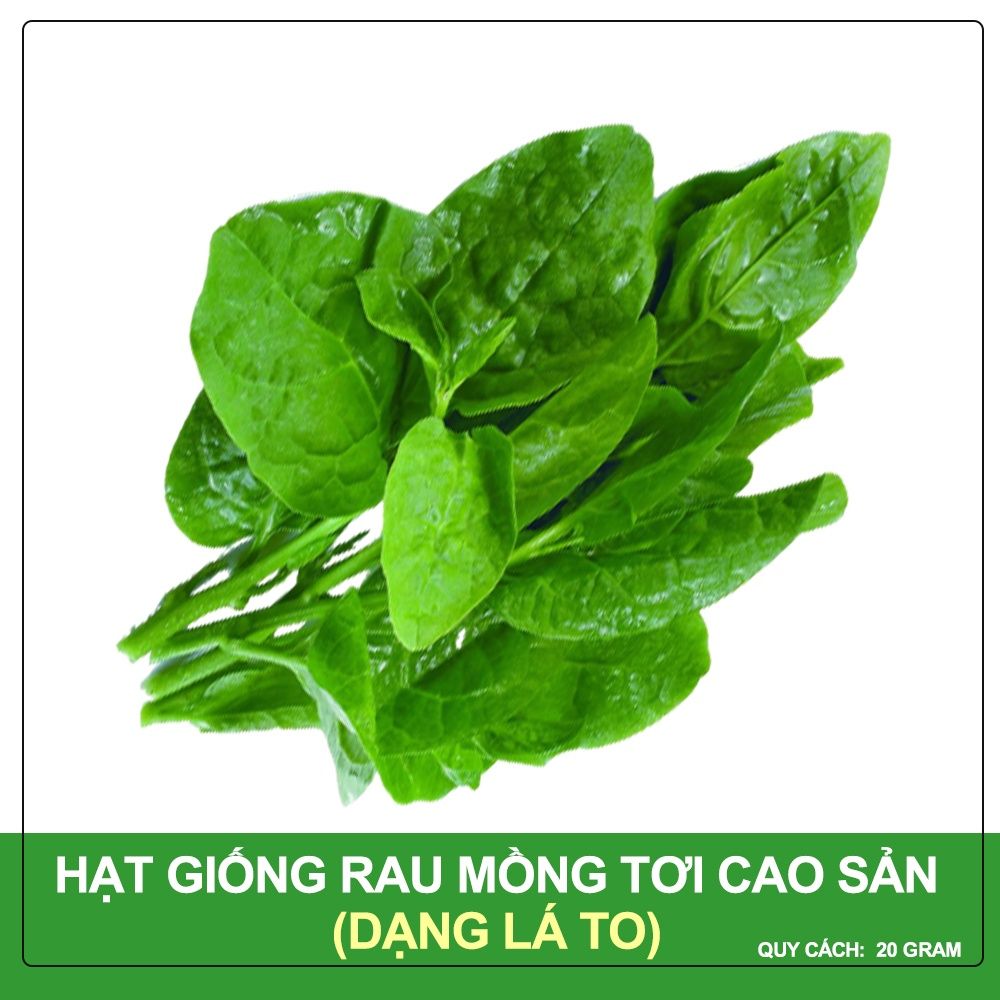 Hạt Giống Rau Mồng Tơi Phú Nông Gói 20 Gram