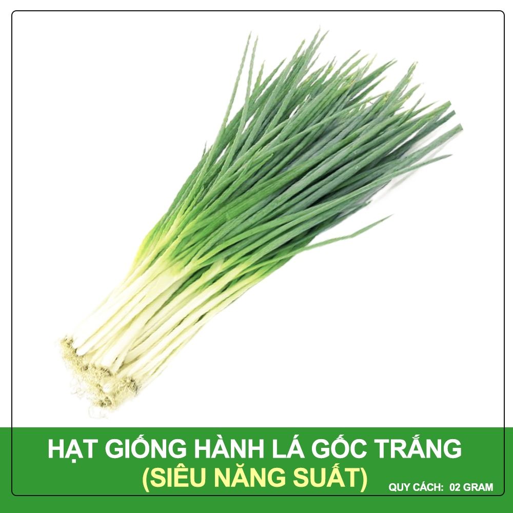 Hạt Giống Hành Lá Gốc Trắng Phú Nông Gói 2 Gram