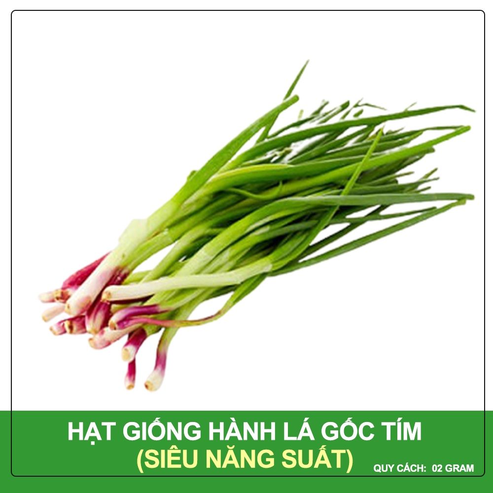 Hạt Giống Hành Lá Gốc Tím Phú Nông Gói 2 Gram