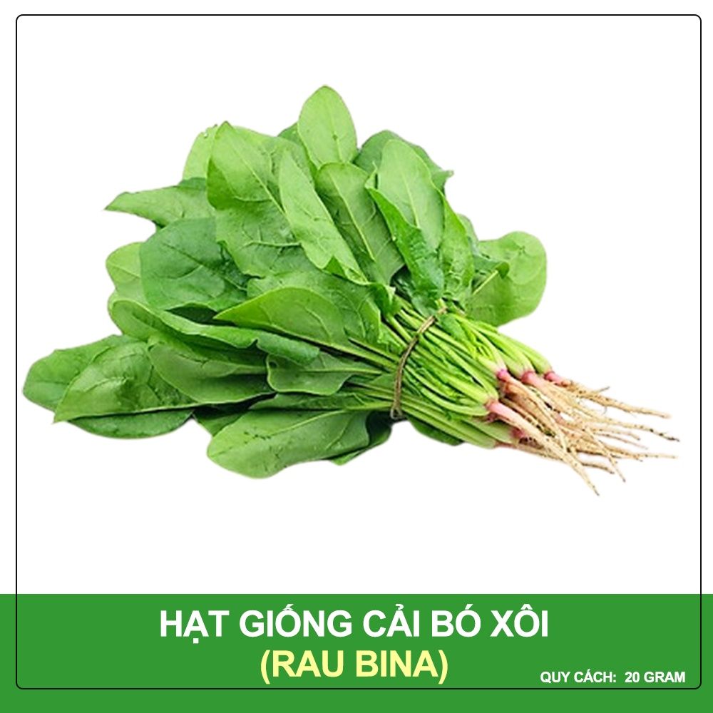 Hạt Giống Cải Bó Xôi Phú Nông Gói 20 Gram