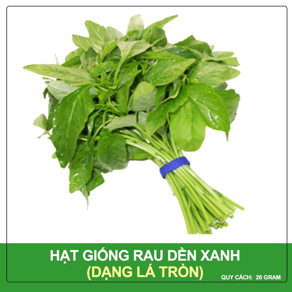 Hạt Giống Dền Xanh Lá Tròn Phú Nông Gói 20 Gram