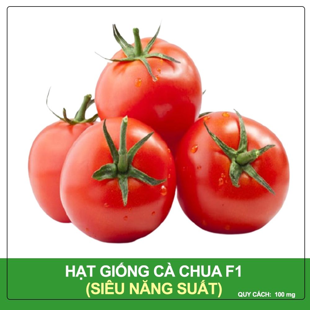 Hạt Giống Cà Chua T11 Phú Nông Gói 100 mg
