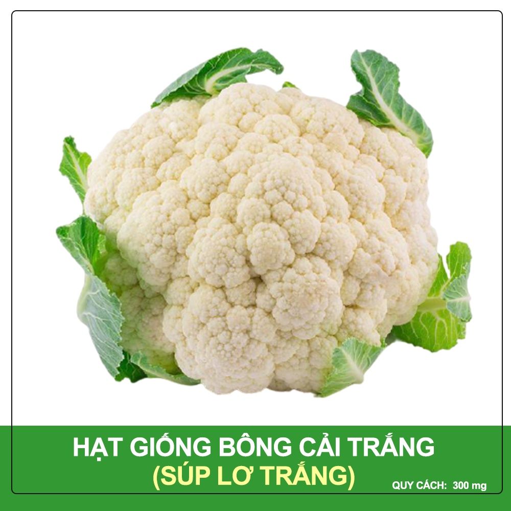 Hạt Giống Bông Cải Trắng Phú Nông Gói 200 mg
