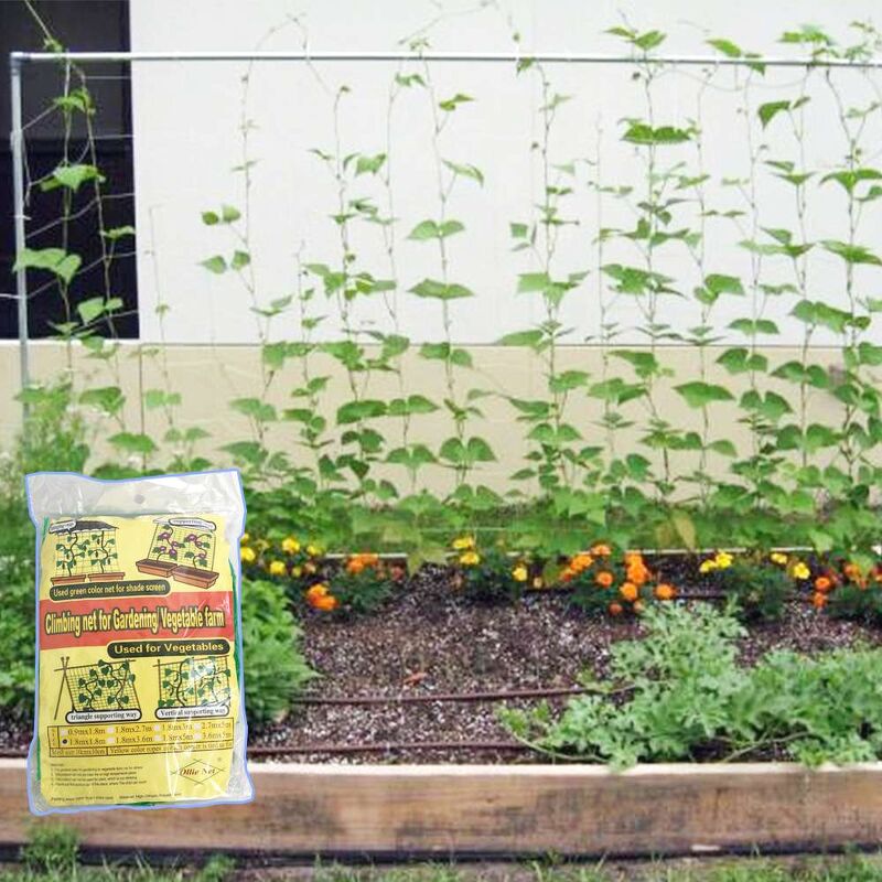 Lưới Làm Giàn Leo Bầu Bí, Mướp, Su Su Và Các Loại Cây Leo Ollie Net