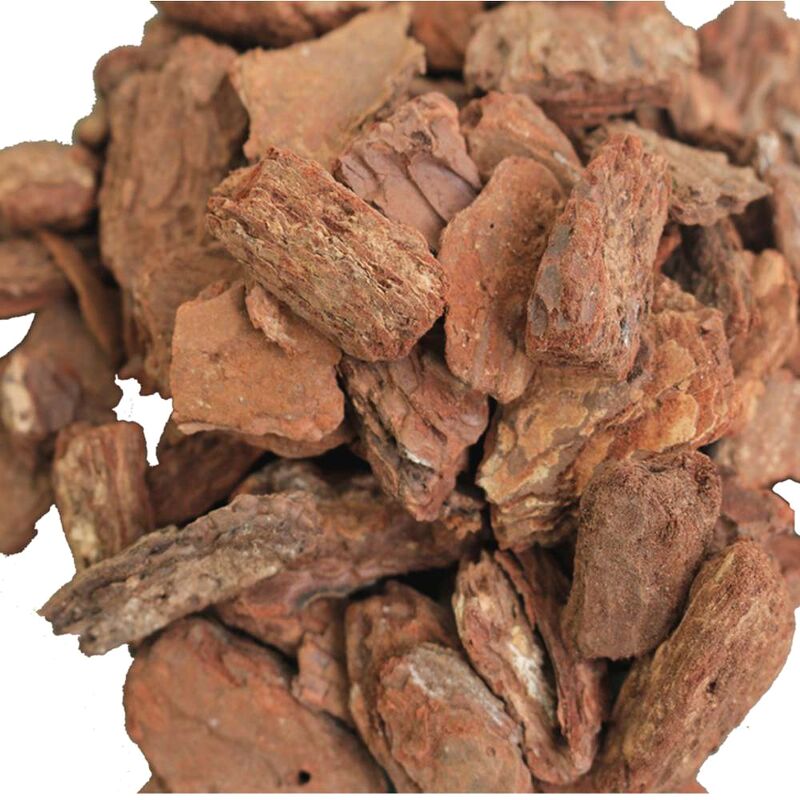 Vỏ Thông Trồng Lan Kích Thước 2 Đến 5 cm