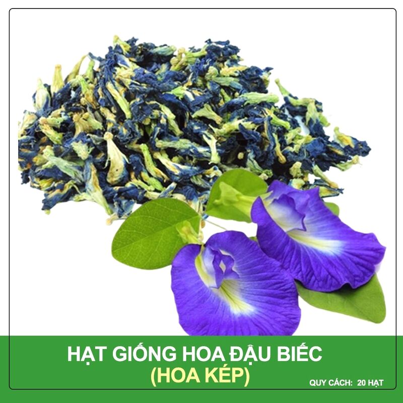 Hạt Giống Hoa Đậu Biếc Kép, Hạt Giống Chuẩn Cho Hoa To, Dễ Trồng Gói 1 Gram