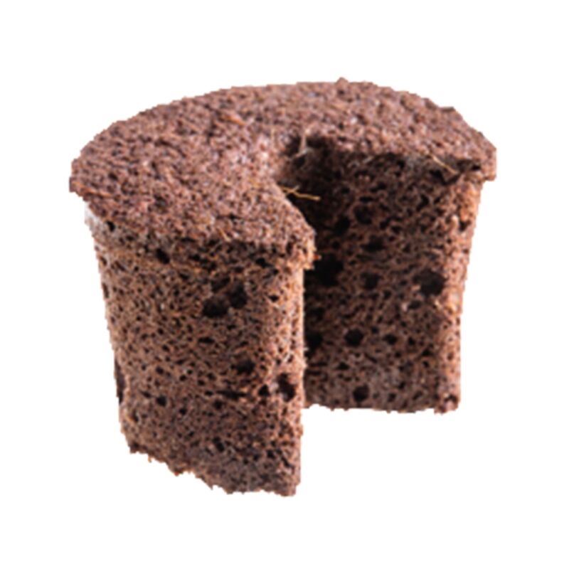 Set 10 Cái Mút Ươm Kie Hà Lan - Ươm Kie, Tạo Độ Ẩm và Kích Rễ Lan