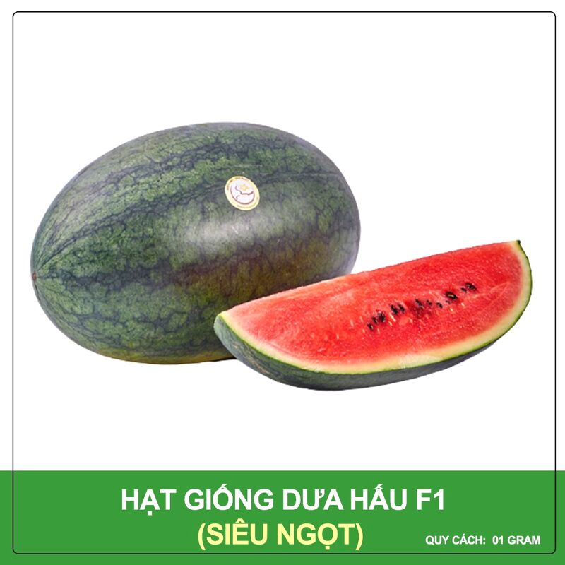 Hạt Giống Dưa Hấu F1 Siêu Năng Suất - Quả Ngọt, Cây Sinh Trưởng Nhanh