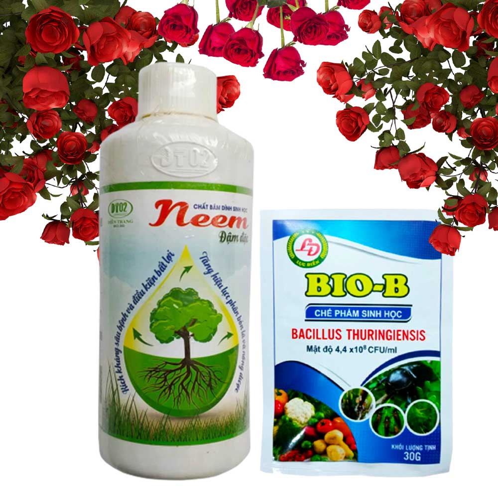 Combo Bộ Đôi Bio B Và Chất Bám Dính Sinh Học Neem Phòng Và Trừ Bọ Trĩ Hoa Hồng