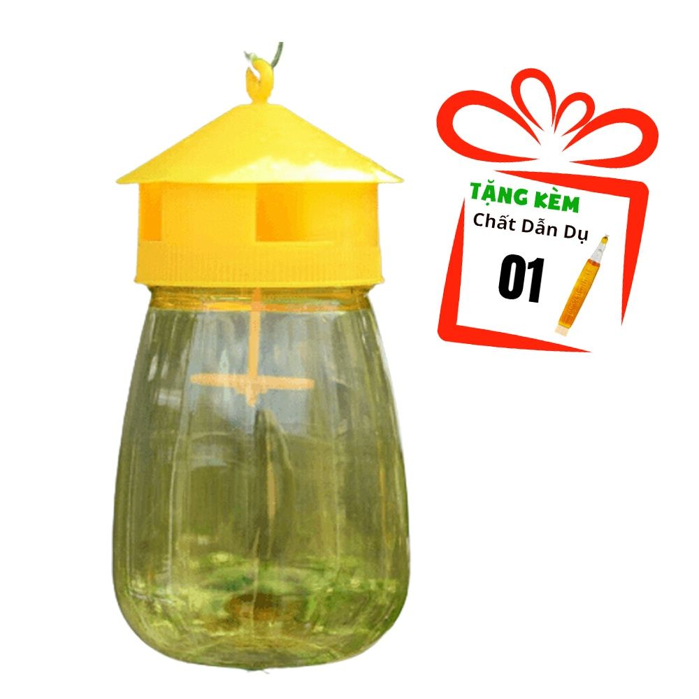 Bẫy Ruồi Vàng Và Ruồi Đục Trái Hại Bưởi, Cam, Khổ Qua, Bầu Bí, Mướp