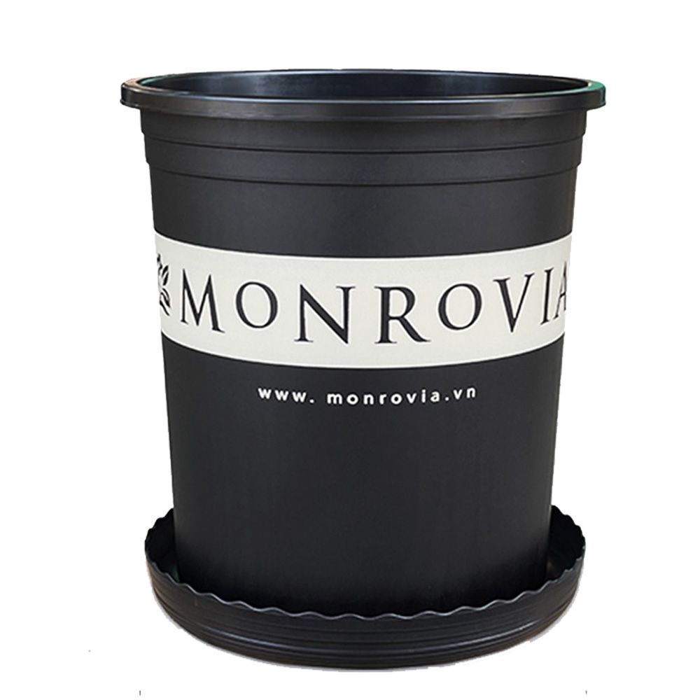 Chậu Trồng Cây Monrovia Model Original Series Màu Đen Truyền Thống Siêu Bền