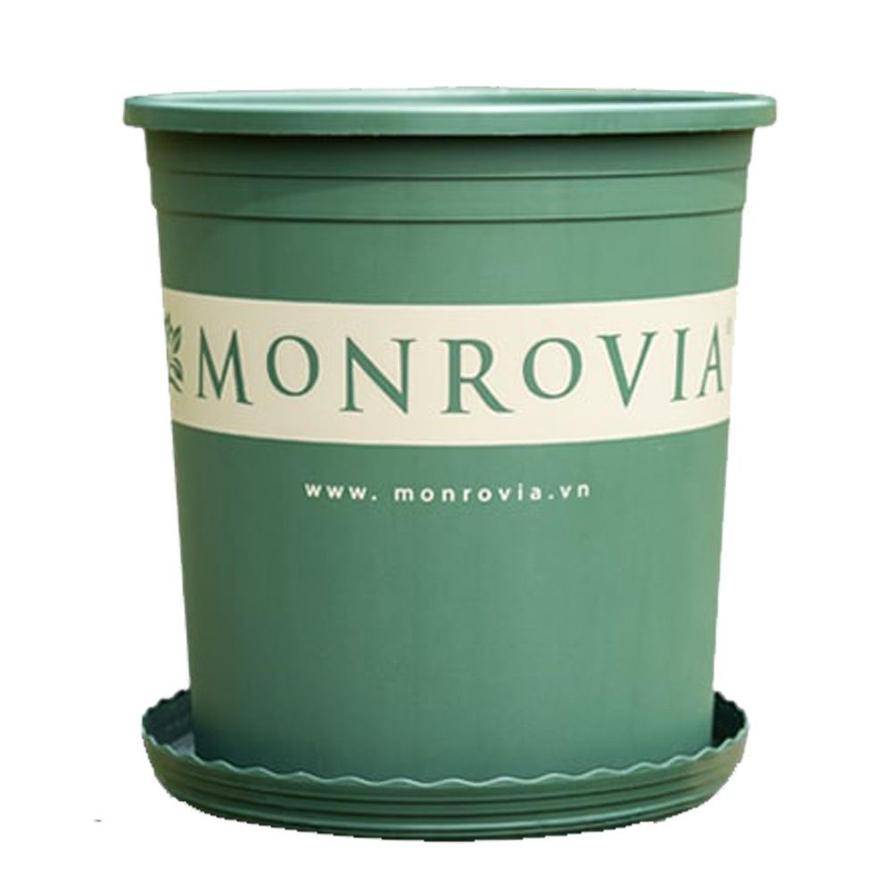 Chậu Nhựa Trồng Cây Monrovia Model Original Series Siêu Bền, Chất Lượng Cao, Hàng Chính Hãng