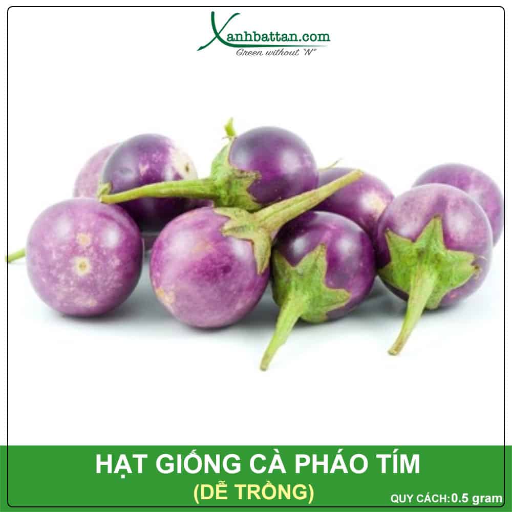 Hạt Giống Cà Pháo Tím Phú Nông Dễ Trồng Nảy Mầm Cao Gói 0.5 Gram