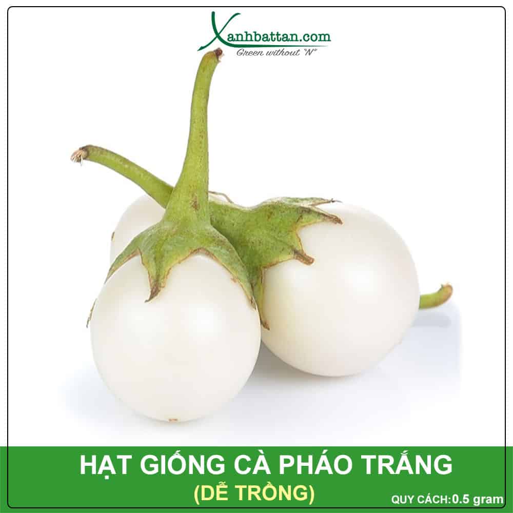 Hạt Giống Cà Pháo Trắng Phú Nông Dễ Trồng Nảy Mầm Cao Gói 0.5 Gram