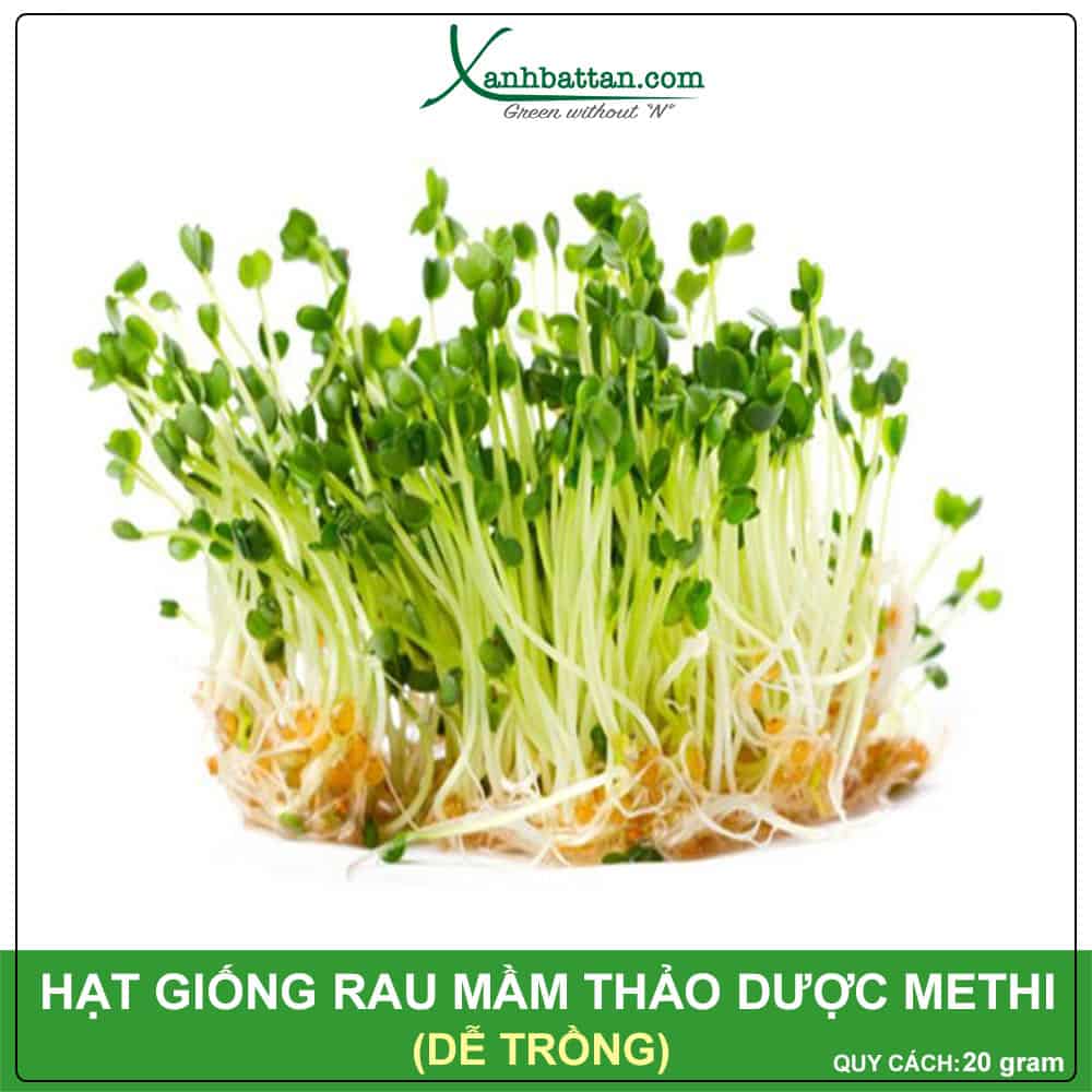 Hạt Giống Rau Mầm Thảo Dược Methi Siêu Năng Suất Gói 20 Gram