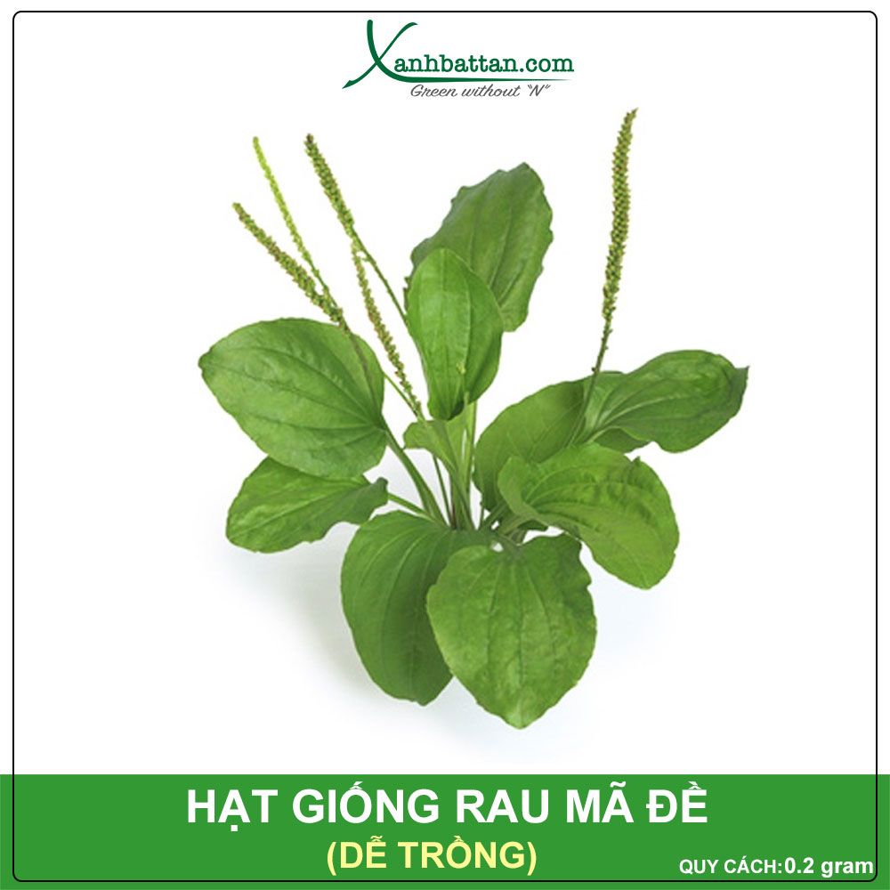 Hạt Giống Rau Mã Đề Phú Nông Gói 2 Gram