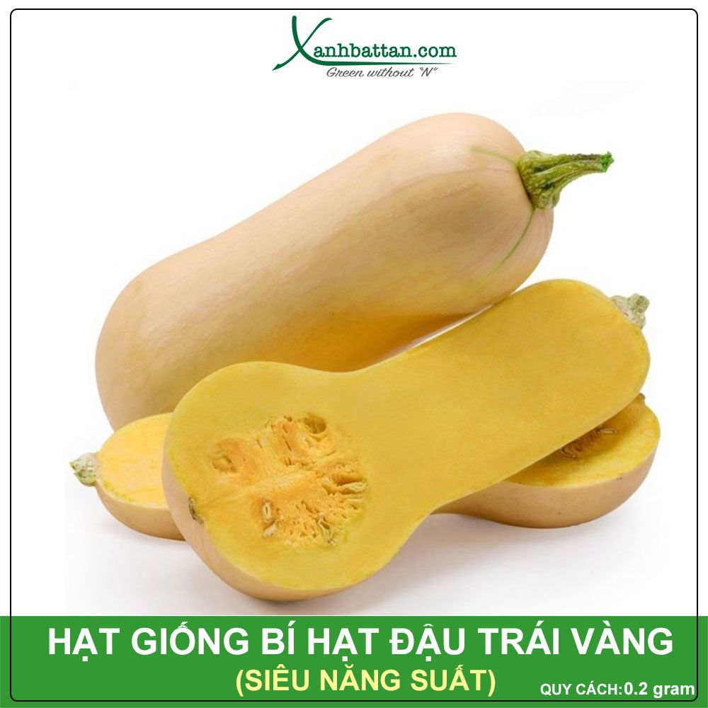 Hạt Giống Bí Hạt Đậu Trái Vàng F1 Phú Nông Gói 1 Gram
