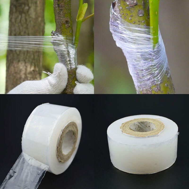 Cuộn Băng Keo Ghép Cành Cây Tự Dính