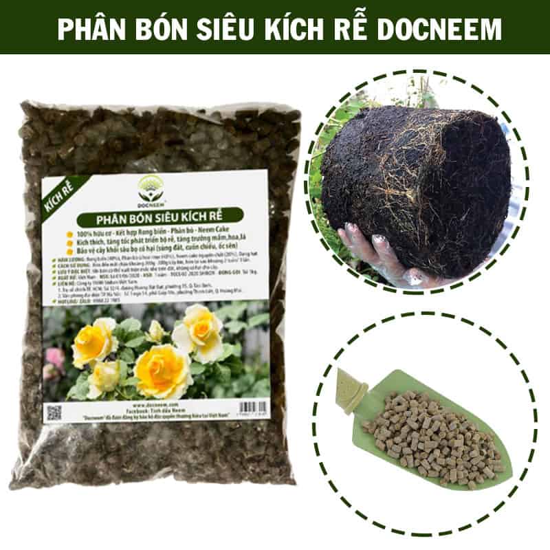 Phân rong biển nén viên tan chậm cho hoa hồng