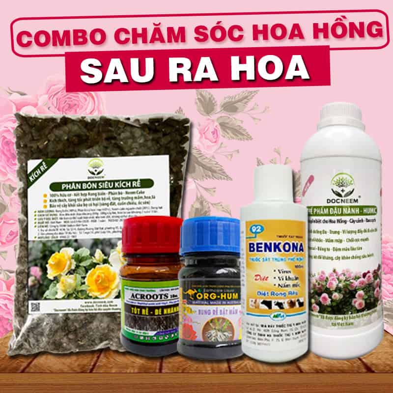 combo chăm sóc hoa hồng sau ra hoa