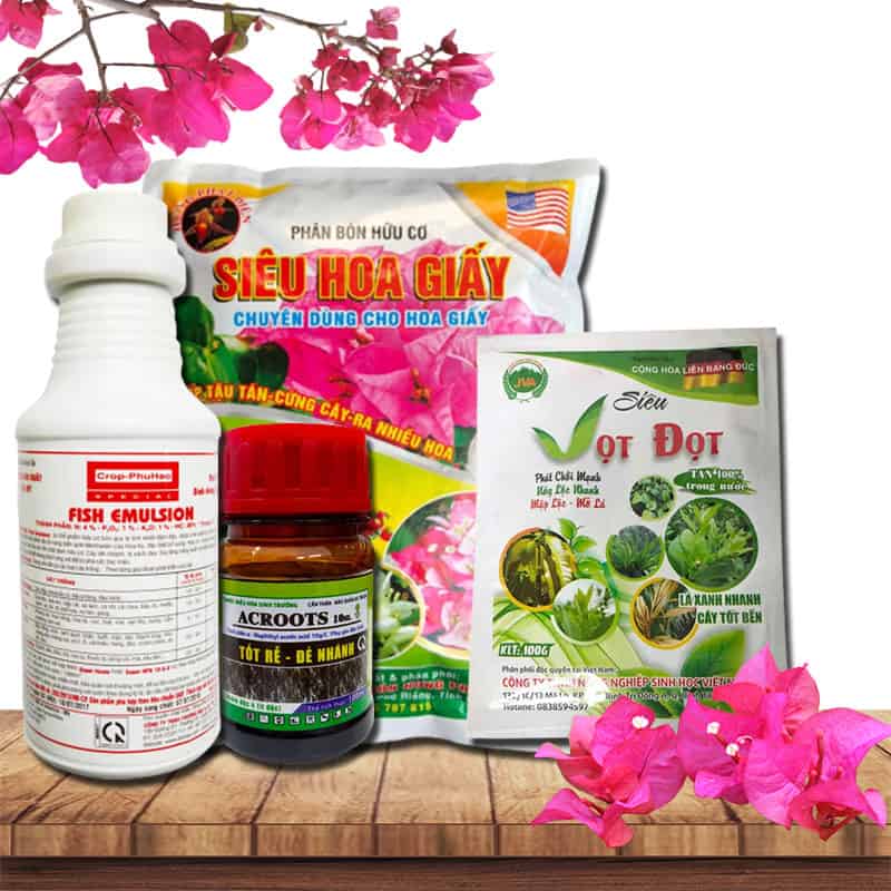 Bộ Phân Bón Chăm Sóc Hoa Giấy Sau Ra Hoa