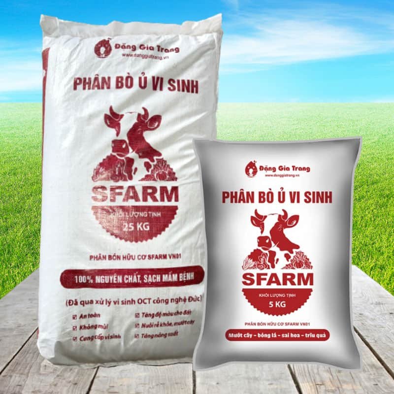 Phân Bò Ủ Vi Sinh Sfarm Đã Qua Xử Lý