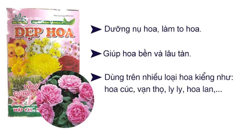 Phan-bon-duong-hoa-to-hoa