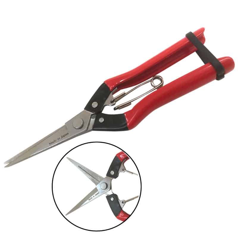 Kéo Cắt Tỉa Cành Cây Mũi Thẳng Giá Tốt, Bền Đẹp, Dễ Sử Dụng