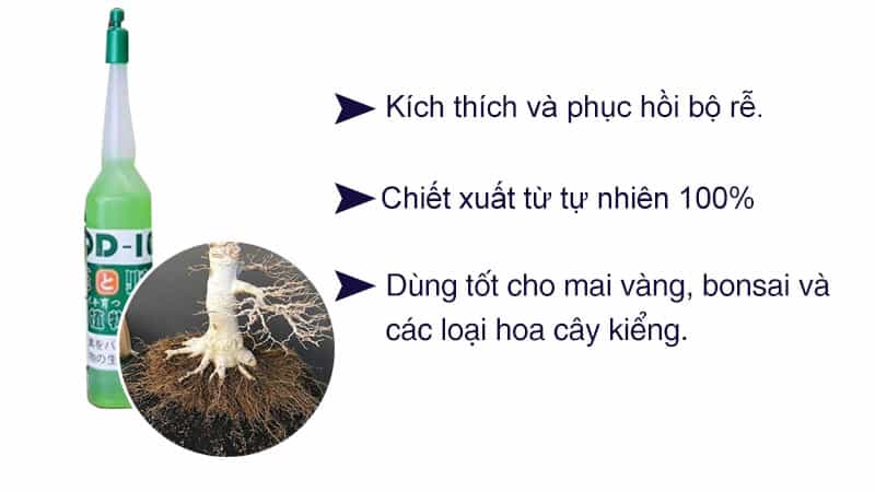 thuoc-kich-re-nhat-ban-qd101