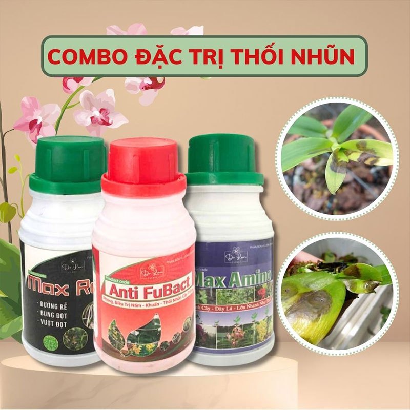 Combo Trị Thối Nhũn Cho Phong Lan