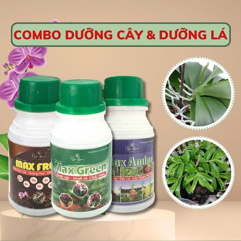 Combo Dưỡng Cây Và Dưỡng Lá Cho Lan