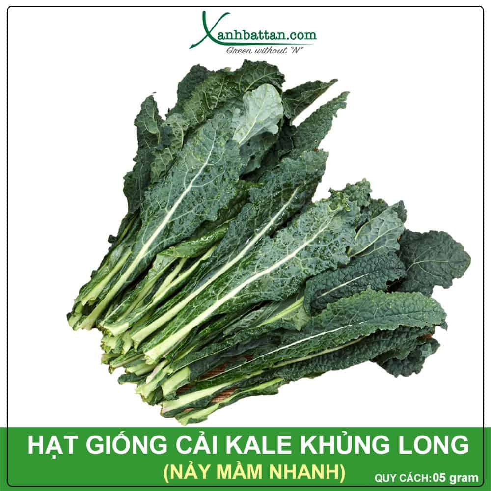 Hạt Giống Cải Kale Khủng Long Nảy Mầm Và Sinh Trưởng Tốt Gói 5 Gram