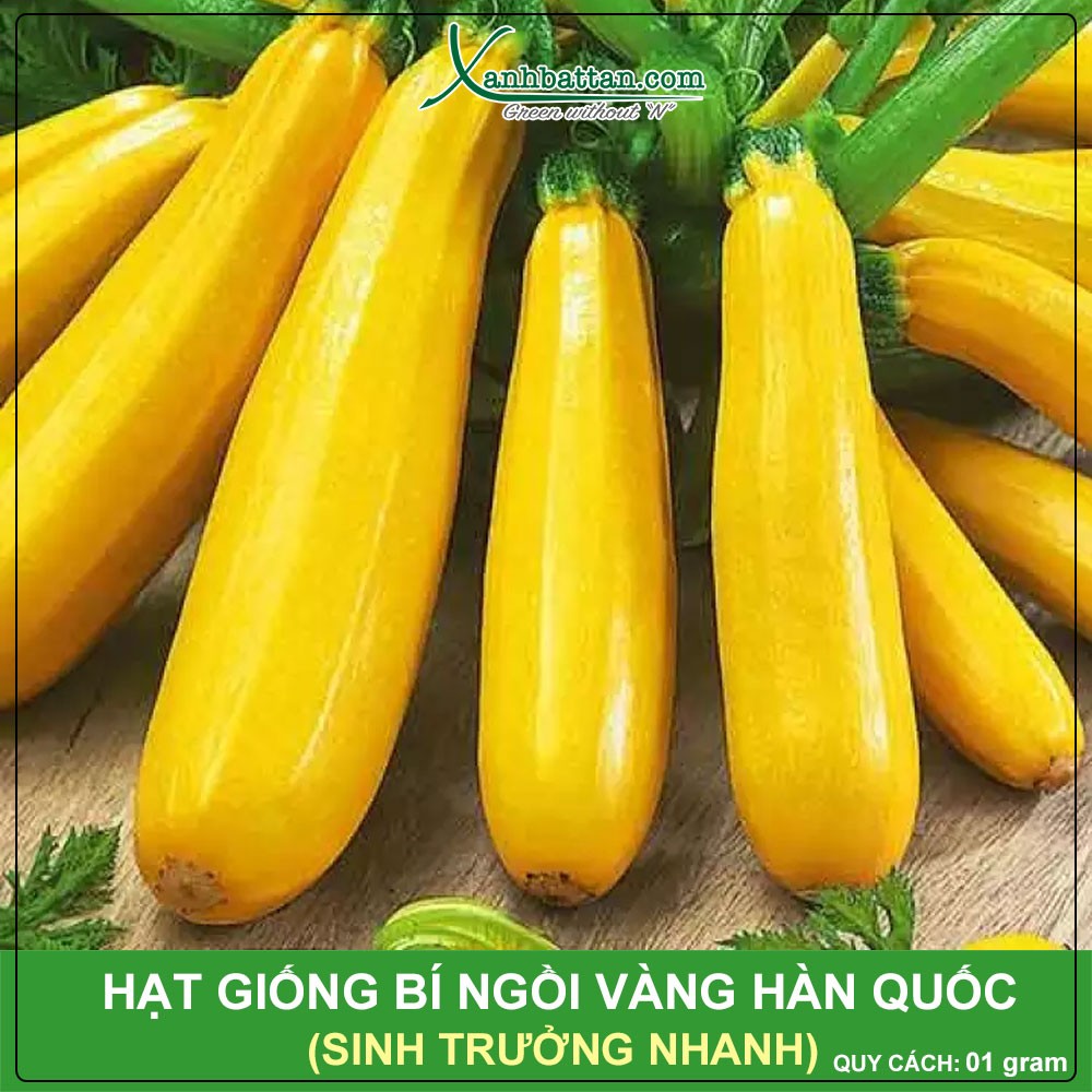 Hạt Giống Bí Ngồi Vàng Hàn Quốc Phú Nông Gói 1 Gram