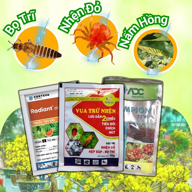 Combo Đặc Trị Bọ Trĩ - Nhện Đỏ - Nấm Hồng Trên Mai Vàng