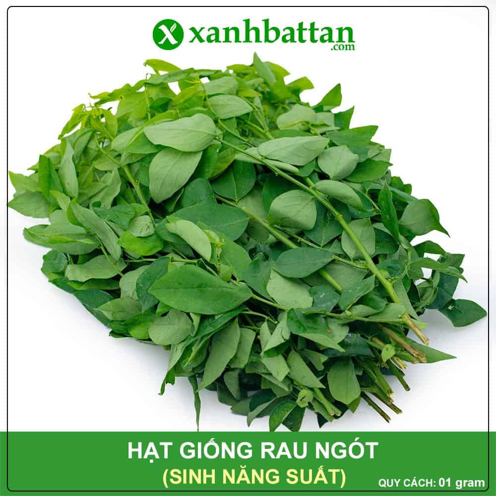 Hạt Giống Rau Ngót Siêu Năng Suất Gói 1 Gram