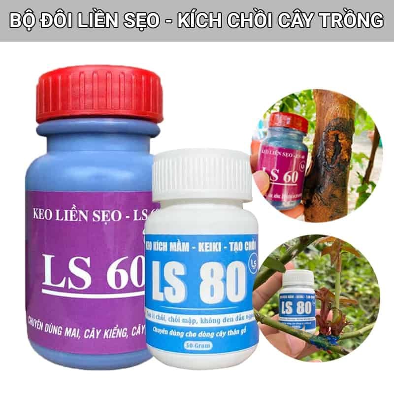 Bộ đôi keo liền sẹo ls60 và keo kích chồi ls80