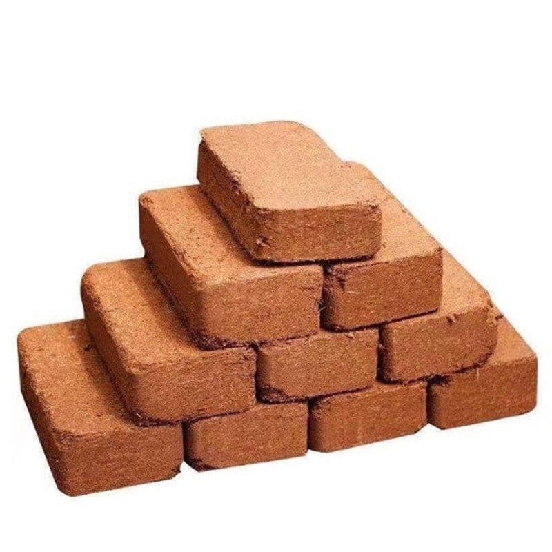 Mụn Dừa Ép Bánh Đã Qua Xử Lý Trồng Rau Sạch Và Rau Mầm