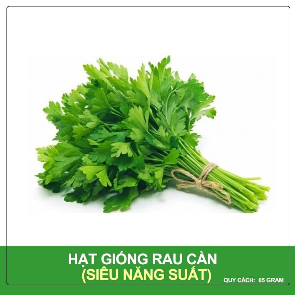 Hạt Giống Rau Cần Cọng Xanh Gói 5 Gram