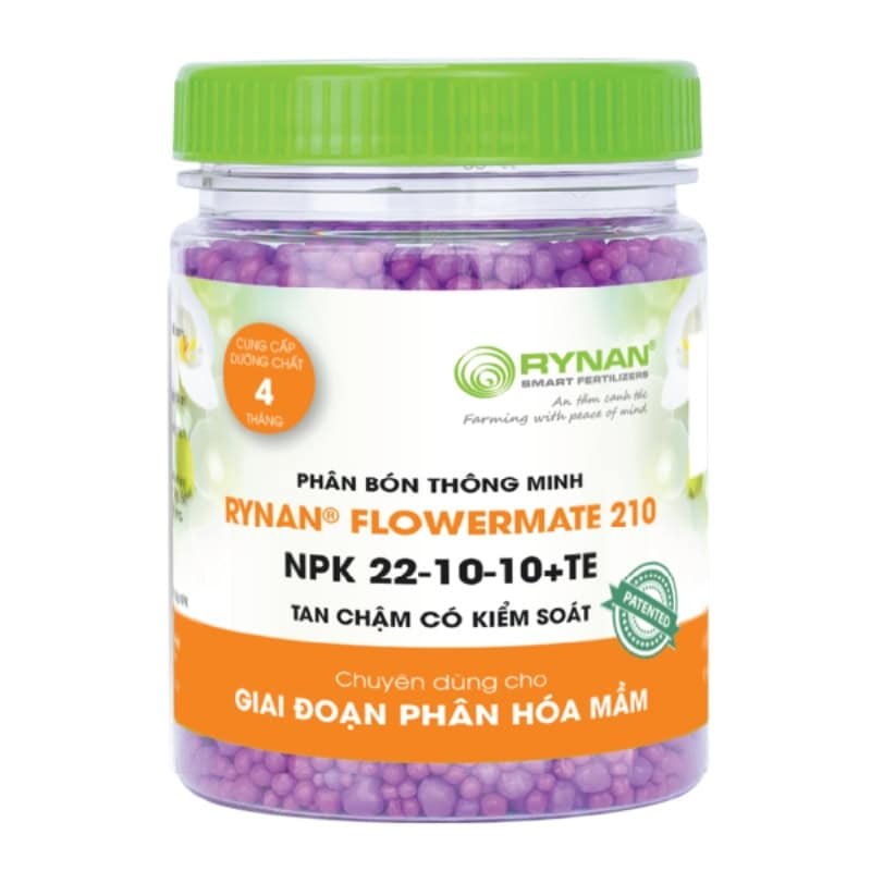 Phân Tan Chậm Phục Hồi Cây Sau Ra Hoa Và Cây Trưởng Thành Dạng Thông Minh Rynan 210