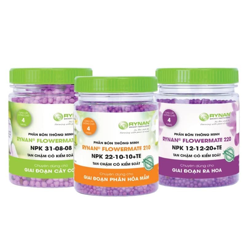 Combo Bộ Ba Phân Tan Chậm Rynan 200 - Rynan 210 - Rynan 220 Chuyên Dưỡng Lan, Kích Hoa Và Phục Hồi Phong Lan